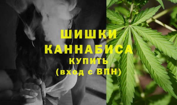 прущая мука Инсар