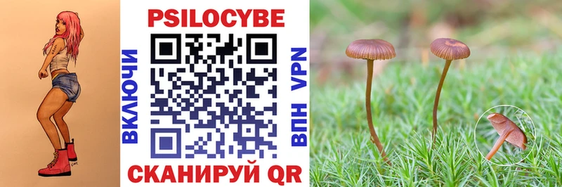 Купить  Зерноград  Галлюциногенные грибы прущие грибы 